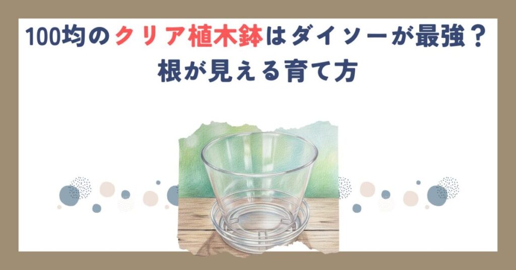 100均のクリア植木鉢はダイソーが最強？根が見える育て方