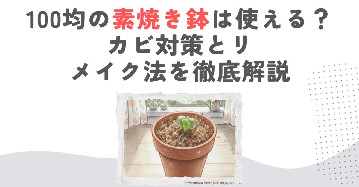100均の素焼き鉢は使える？カビ対策とリメイク法を徹底解説