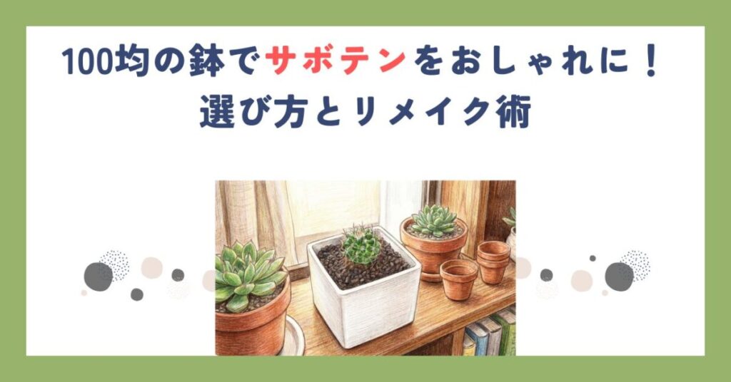 100均の鉢でサボテンをおしゃれに！選び方とリメイク術