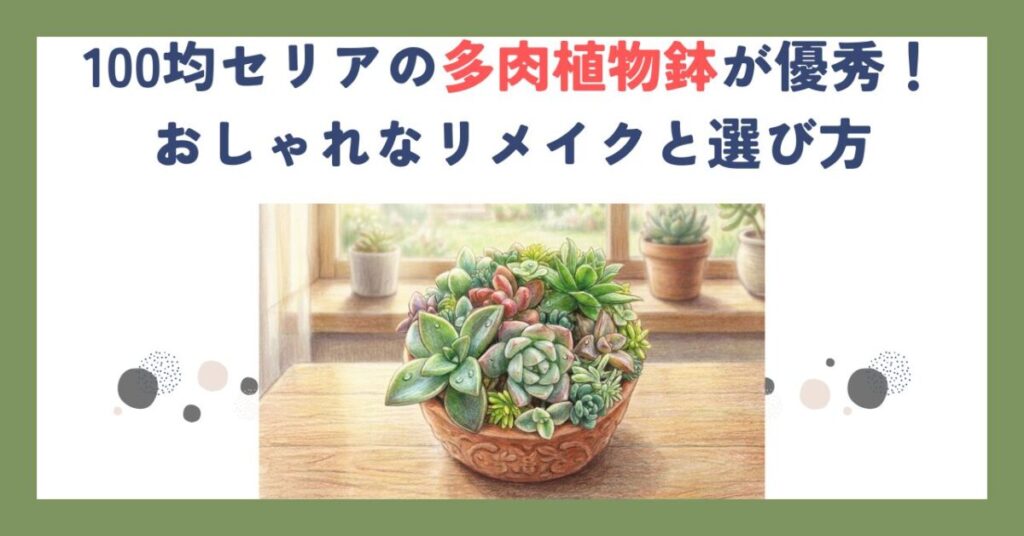 100均セリアの多肉植物鉢が優秀！おしゃれなリメイクと選び方
