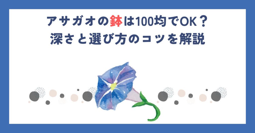 アサガオの鉢は100均でOK？深さと選び方のコツを解説