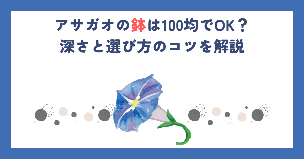 アサガオの鉢は100均でOK？深さと選び方のコツを解説