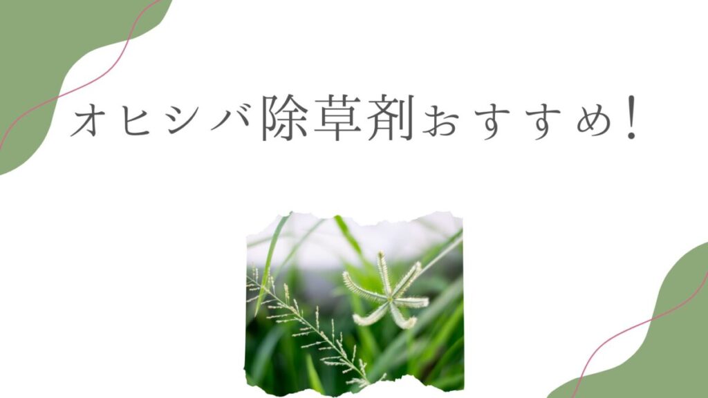 オヒシバ除草剤おすすめ！枯れない原因と最強の選び方を徹底解説