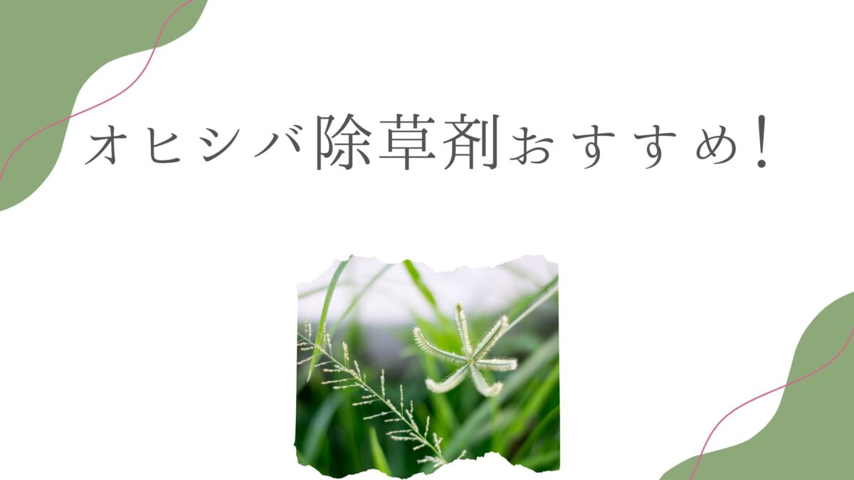 オヒシバ除草剤おすすめ！枯れない原因と最強の選び方を徹底解説