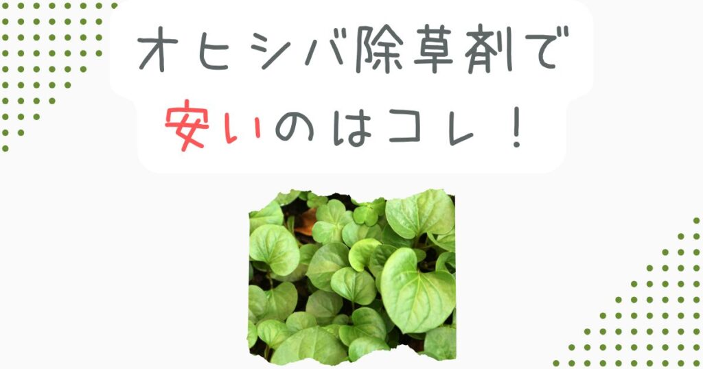 オヒシバ除草剤で安いのはコレ！枯れない対策と最強コスパ