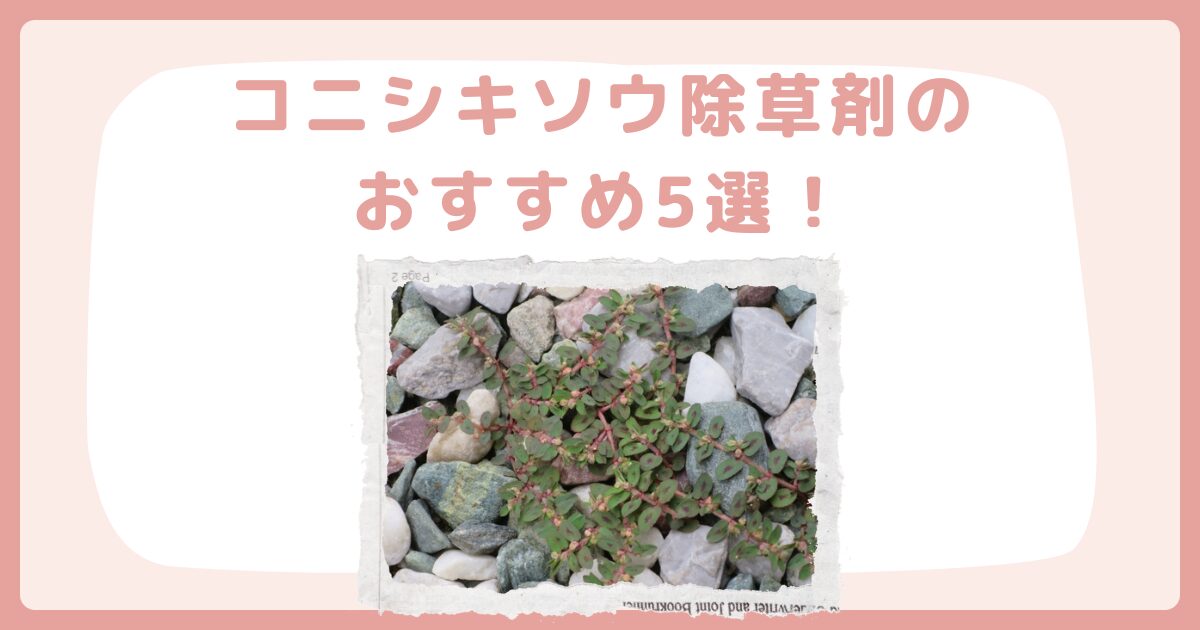 コニシキソウ除草剤のおすすめ5選！芝生の種類別に徹底解説