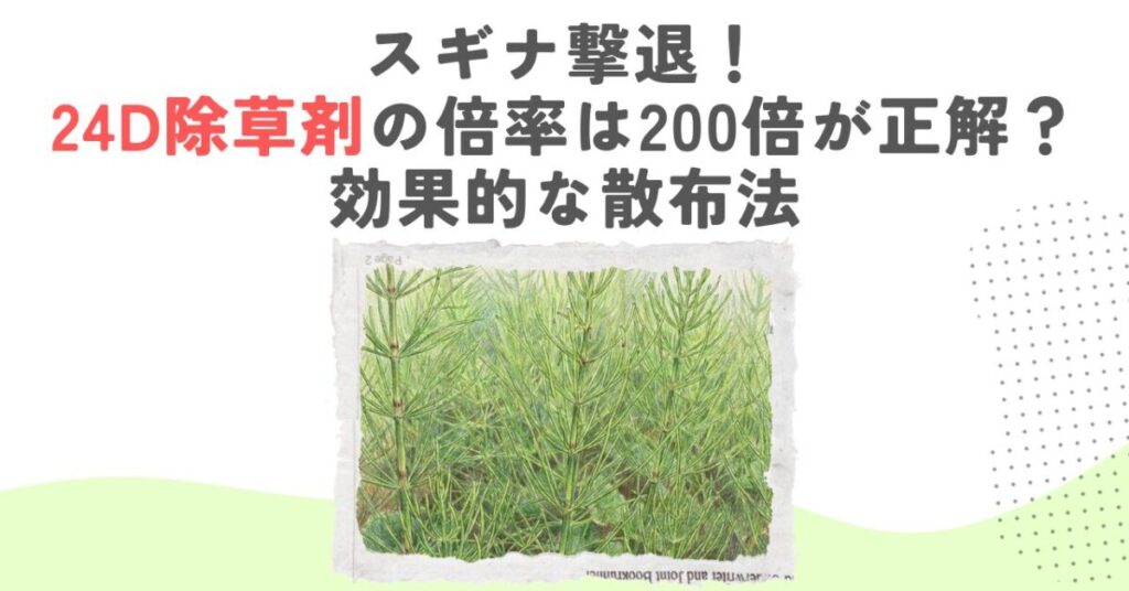スギナ撃退！24D除草剤の倍率は200倍が正解？効果的な散布法
