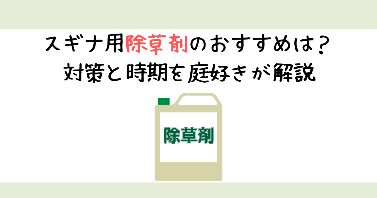 スギナ用除草剤のおすすめは？対策と時期を庭好きが解説