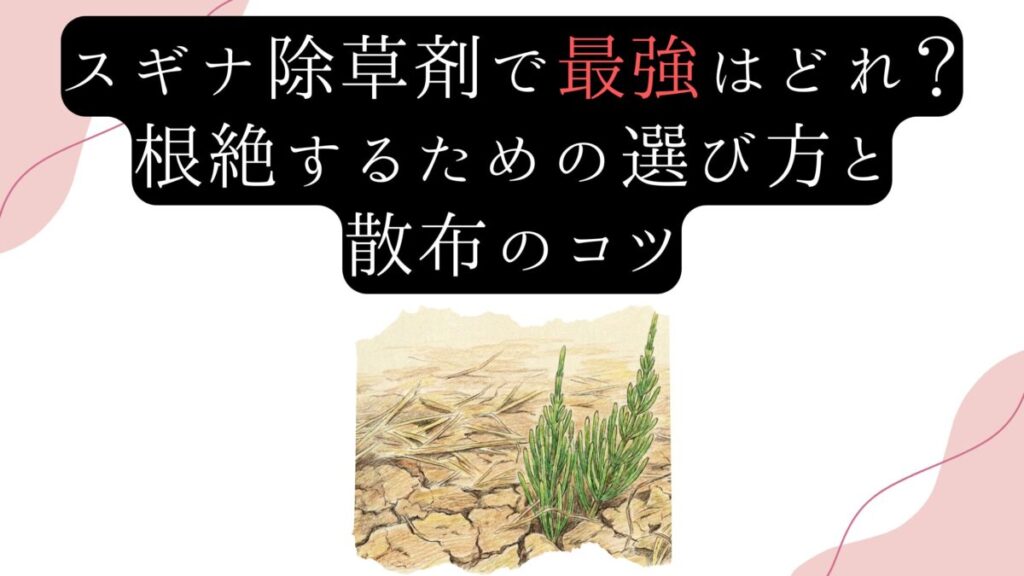 スギナ除草剤で最強はどれ？根絶するための選び方と散布のコツ