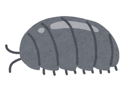 シートの下に虫がわく環境の実態