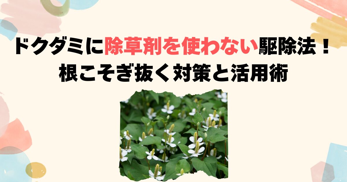 ドクダミに除草剤を使わない駆除法！根こそぎ抜く対策と活用術