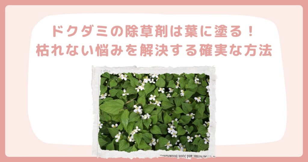 ドクダミの除草剤は葉に塗る！枯れない悩みを解決する確実な方法