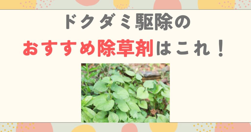 ドクダミ駆除のおすすめ除草剤はこれ！枯れない悩みへの最強対策