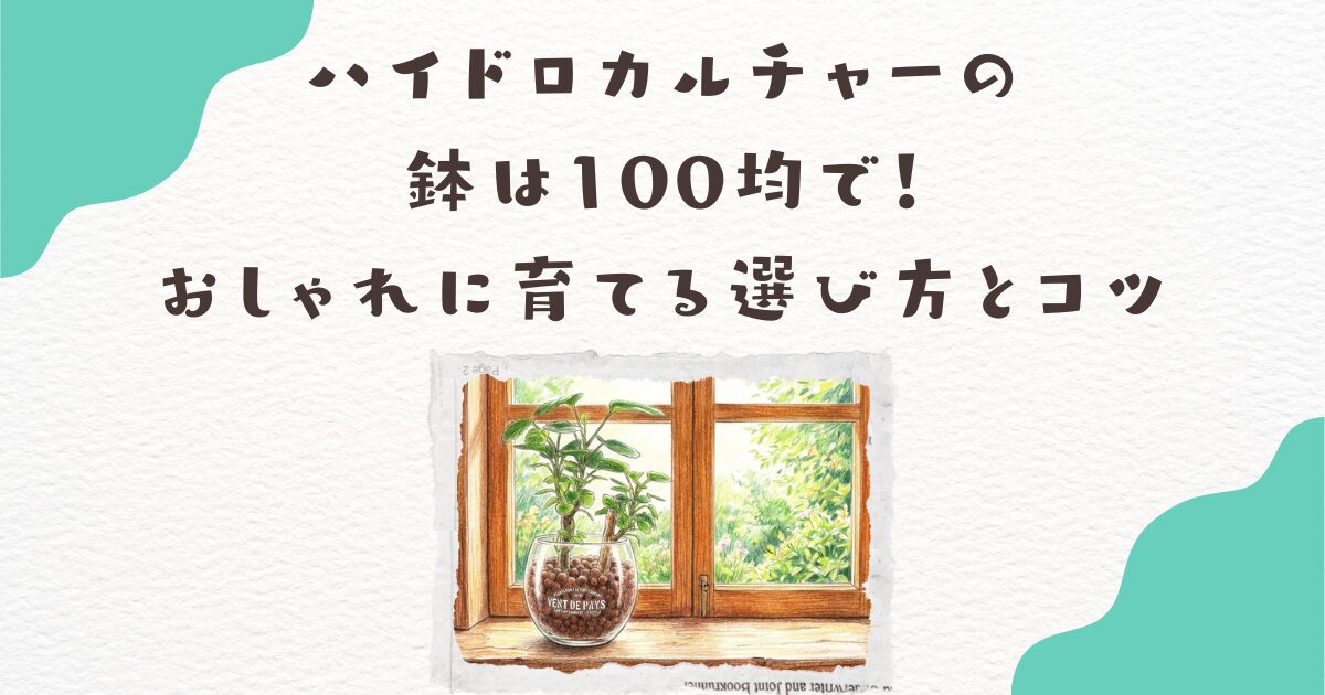 ハイドロカルチャーの鉢は100均で！おしゃれに育てる選び方とコツ