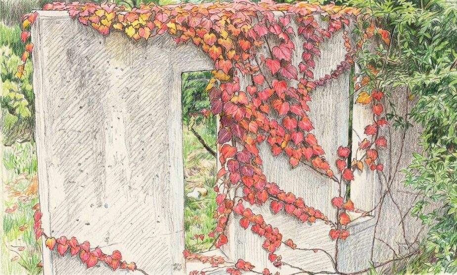 プロが選ぶツタの除草剤おすすめ最強ガイド