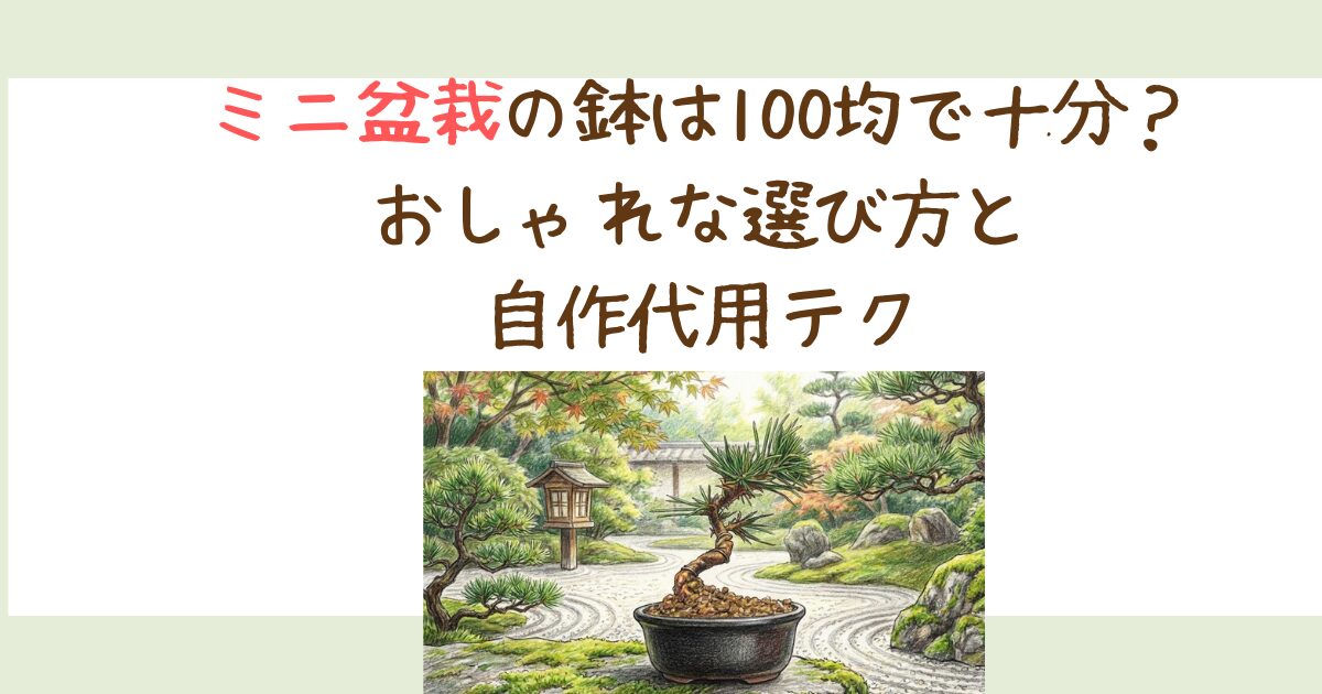 ミニ盆栽の鉢は100均で十分？おしゃれな選び方と自作代用テク