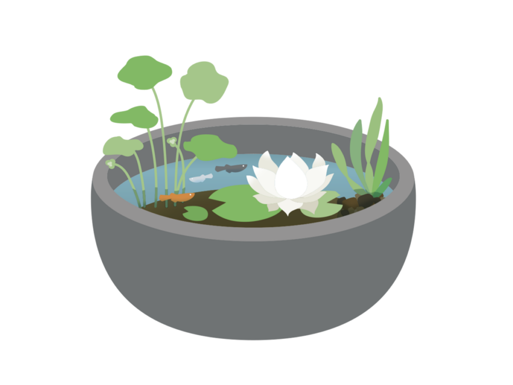 じょうろのハス口が細かい製品：メダカ鉢に最適な水換え道具