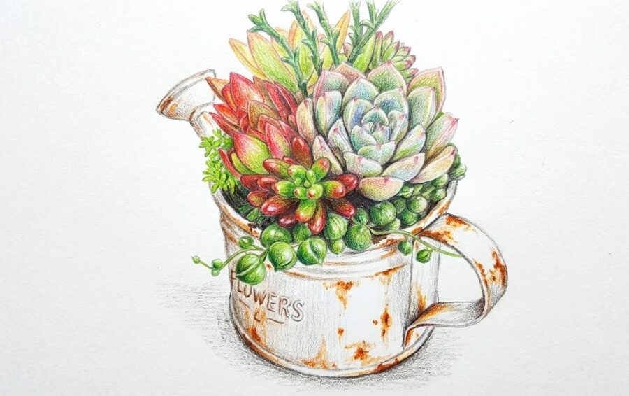 100均にブリキじょうろ：おしゃれな多肉植物の飾り方