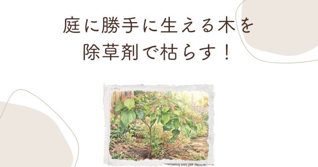 庭に勝手に生える木を除草剤で枯らす！確実な選び方と処理手順
