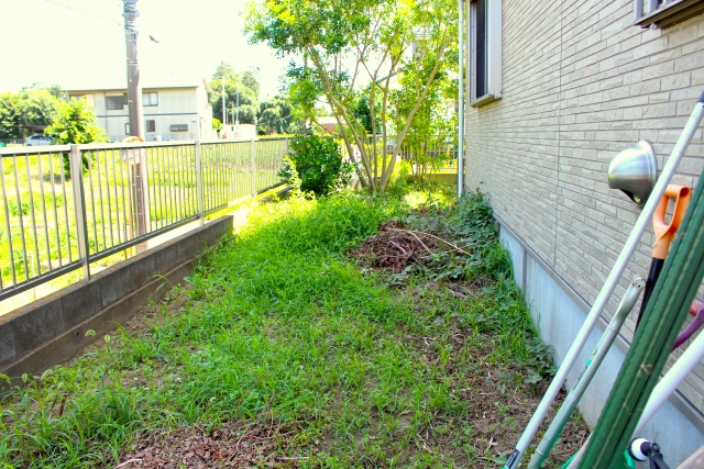 庭に除草剤を使うデメリットと危険性