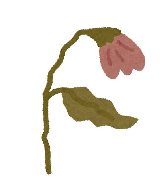 リキダスで枯れるのは肥料焼けが原因?