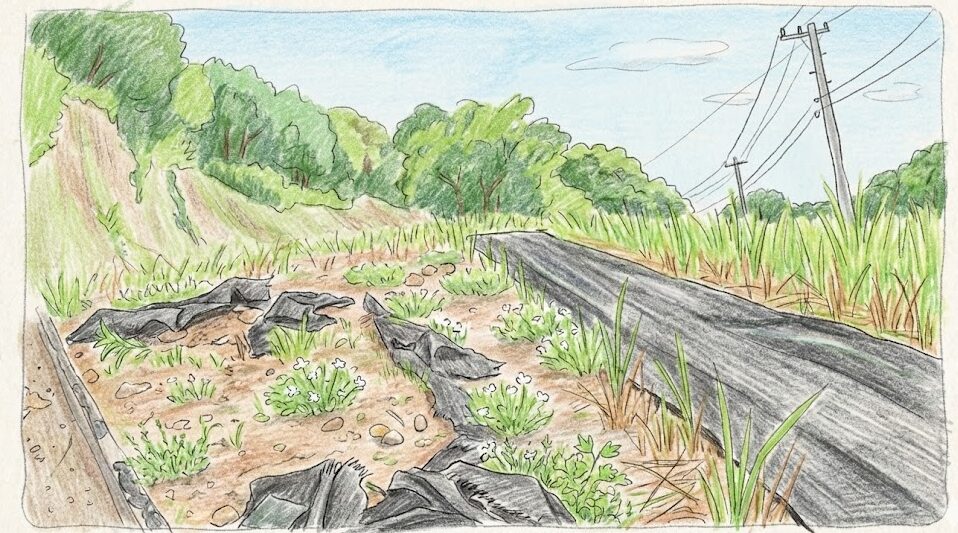 長持ちさせる防草シートのおすすめ施工術