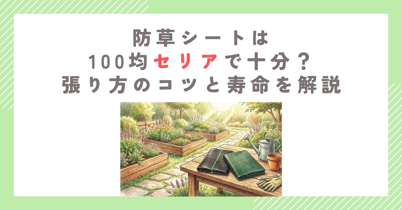 防草シートは100均セリアで十分？張り方のコツと寿命を解説