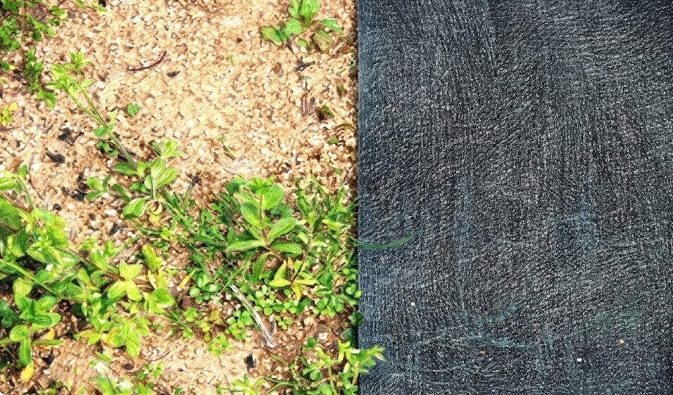 防草シートを100均セリア製品で張る施工のコツ