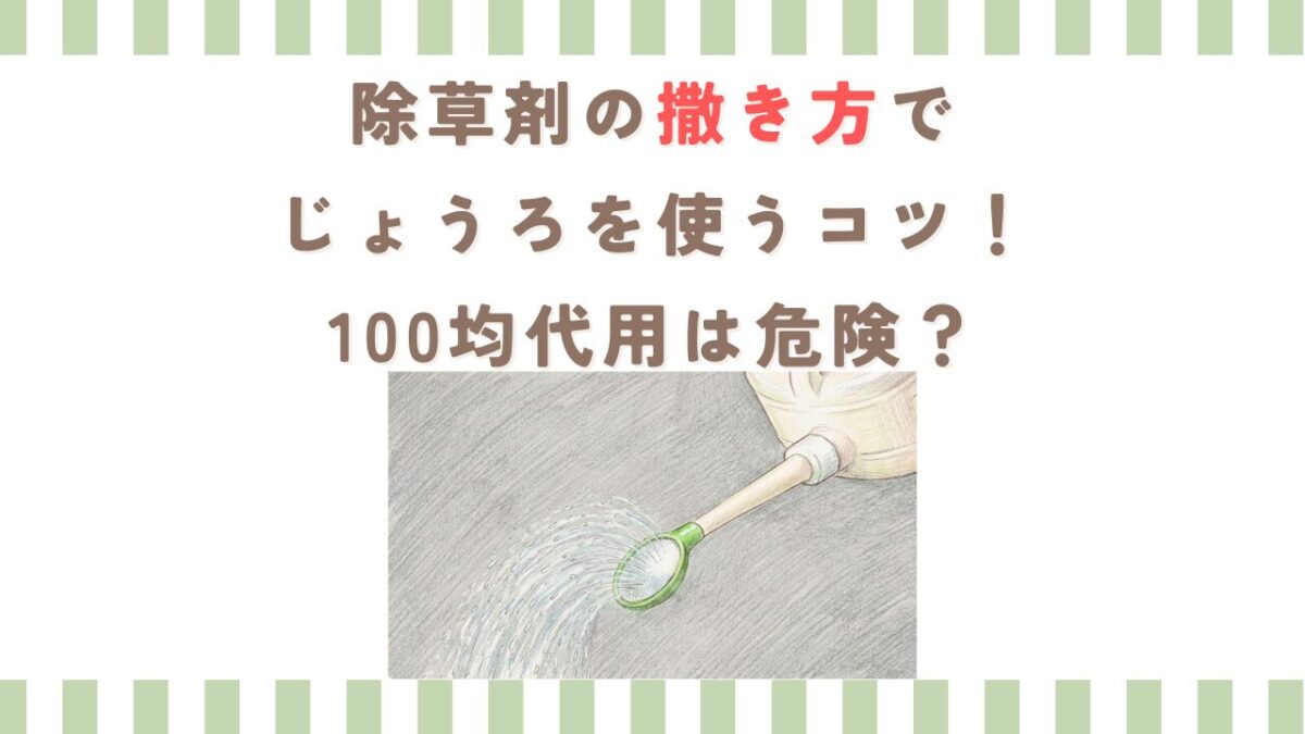 除草剤の撒き方でじょうろを使うコツ！100均代用は危険？