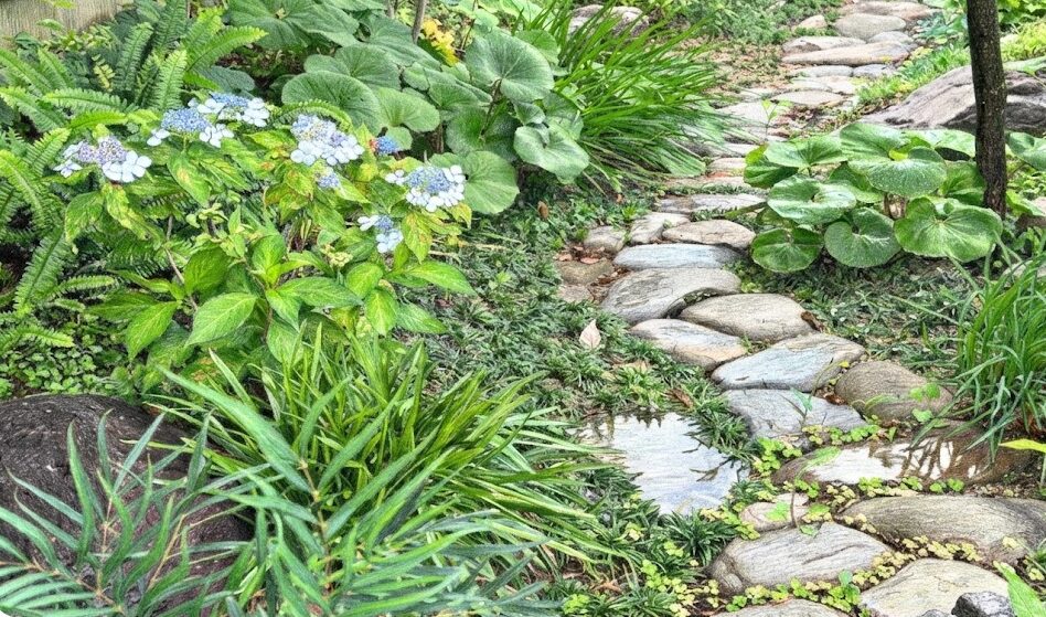 除草剤の雨上がり効果を高める実践テクニック
