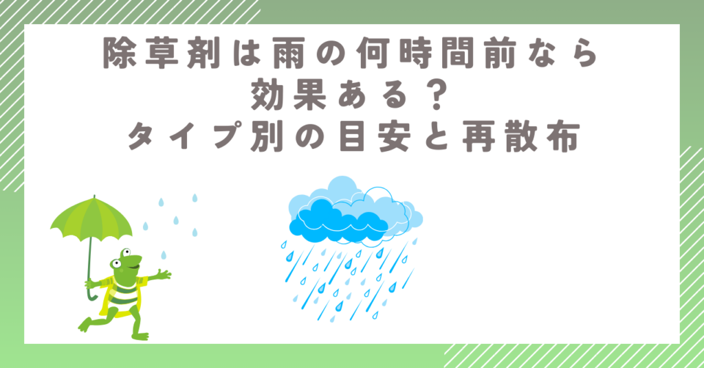 除草剤は雨の何時間前なら効果ある？タイプ別の目安と再散布