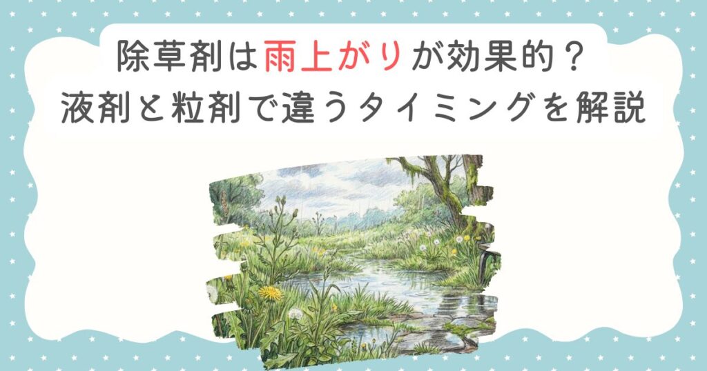 除草剤は雨上がりが効果的？液剤と粒剤で違うタイミングを解説