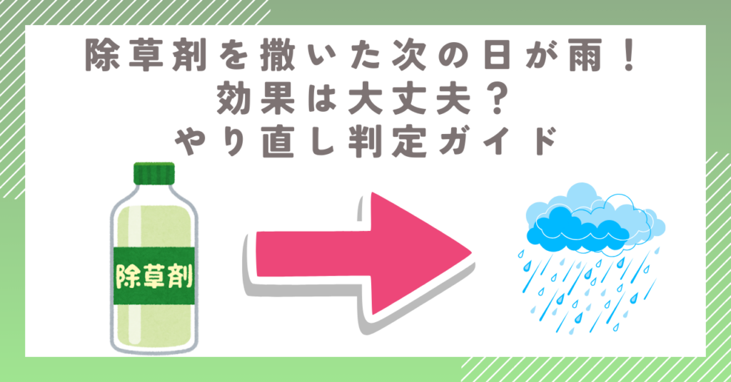 除草剤を撒いた次の日が雨！効果は大丈夫？やり直し判定ガイド