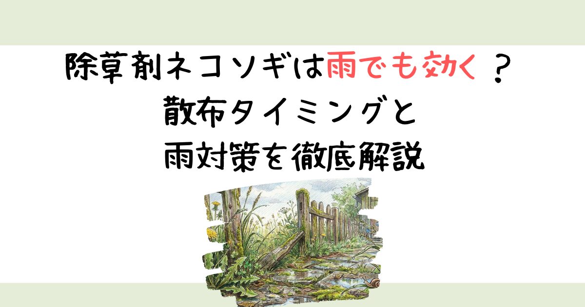 除草剤ネコソギは雨でも効く？散布タイミングと雨対策を徹底解説