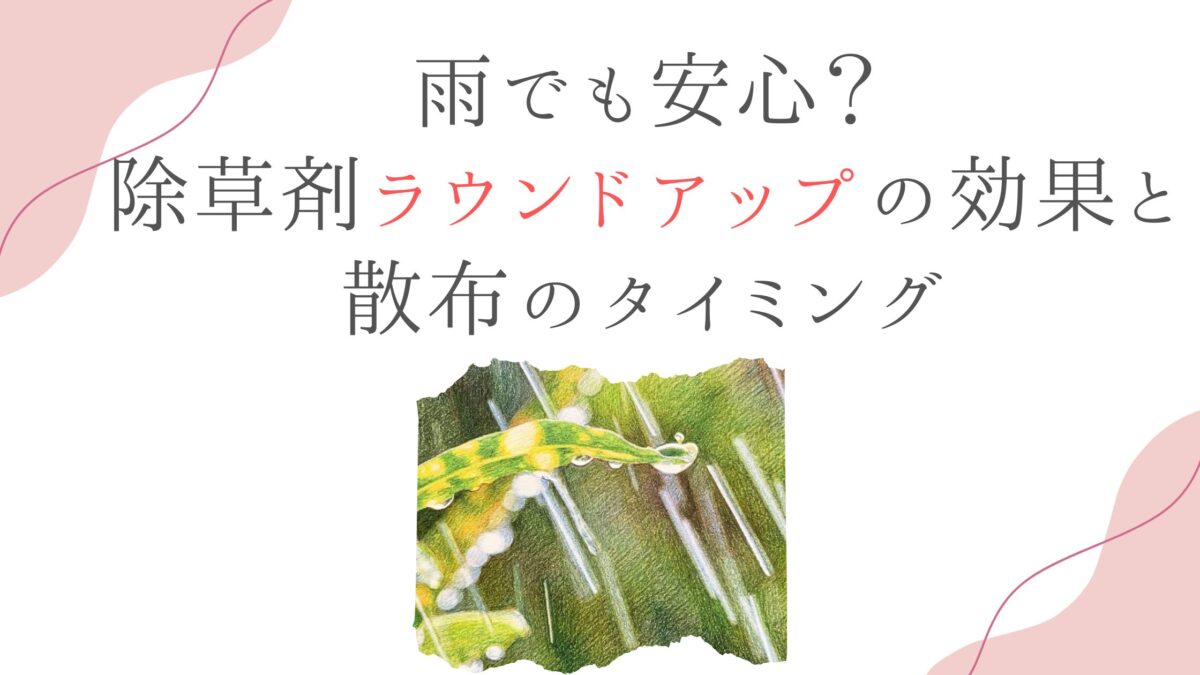 雨でも安心？除草剤ラウンドアップの効果と散布のタイミング