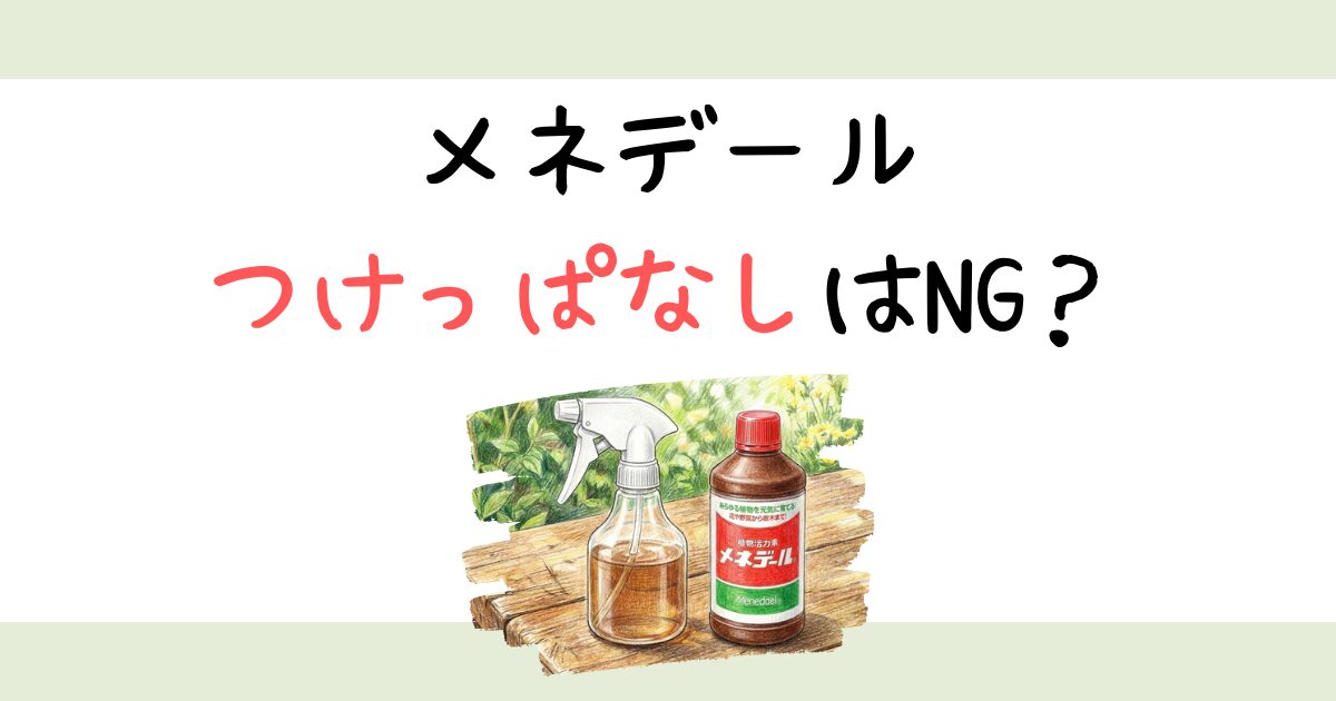 メネデールつけっぱなしはNG？挿し木や水耕栽培の正解時間