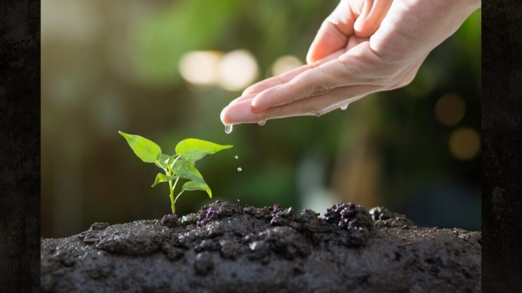 メネデールをやりすぎない実践対策