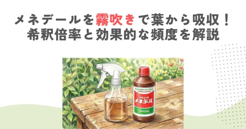 メネデールを霧吹きで葉から吸収！希釈倍率と効果的な頻度を解説