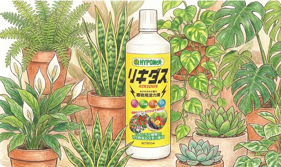 リキダスの使いすぎが招くリスクと枯れる原因