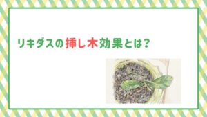 リキダスの挿し木効果とは？メネデールとの違いと使い方