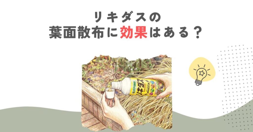リキダスの葉面散布に効果はある？正しいやり方と注意点