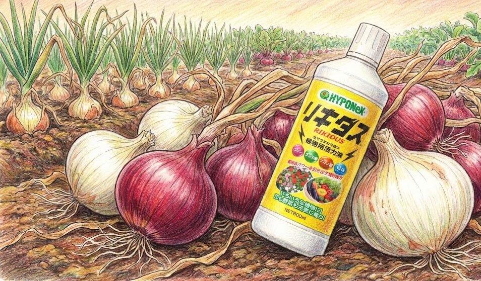 リキダスを玉ねぎに与えるタイミング