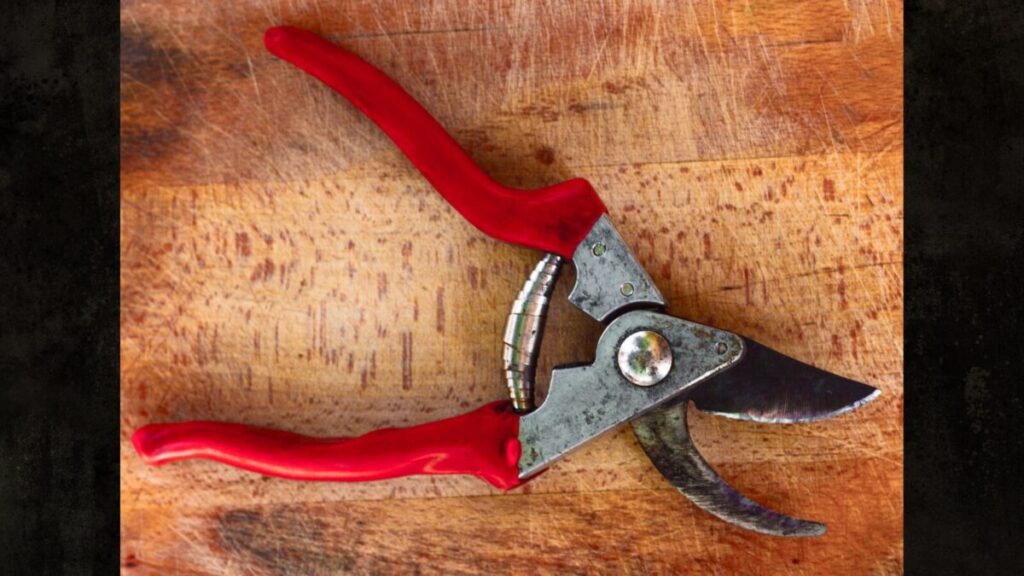 剪定バサミのヤニ取りで代用できる家にあるもの