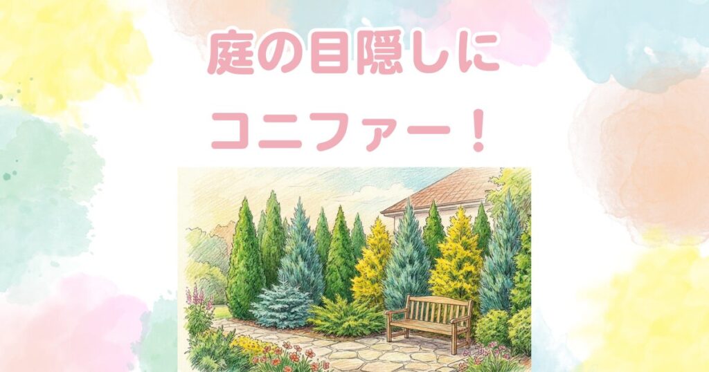 庭の目隠しにコニファー！失敗しない品種選びと管理のコツ