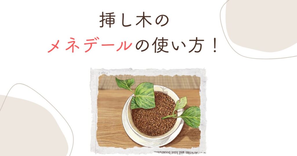 挿し木のメネデールの使い方！希釈や漬ける時間を徹底解説