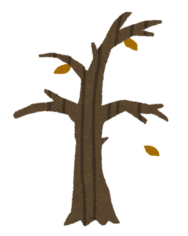 庭の除草剤のデメリット：大切な庭木まで枯れる薬害