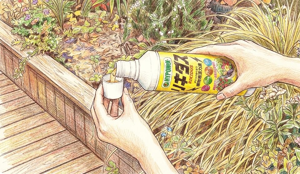 植物別のリキダス葉面散布の頻度と注意点