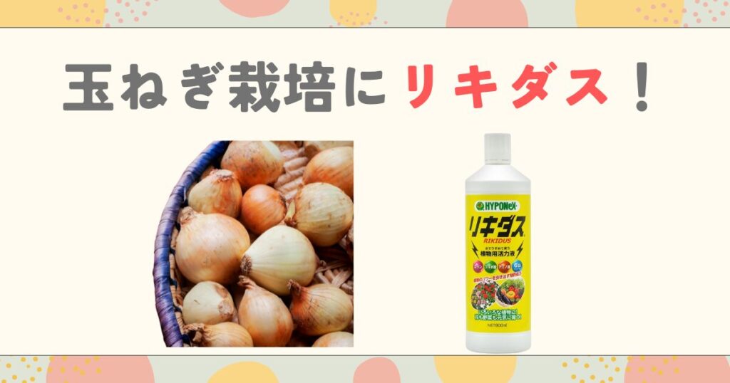 玉ねぎ栽培にリキダス！大きく育てる使い方とタイミングのコツ