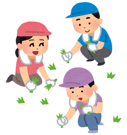 コニシキソウ:草むしりの危険性と正しい抜き方