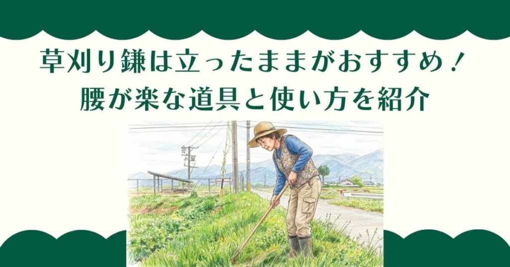 草刈り鎌は立ったままがおすすめ！腰が楽な道具と使い方を紹介